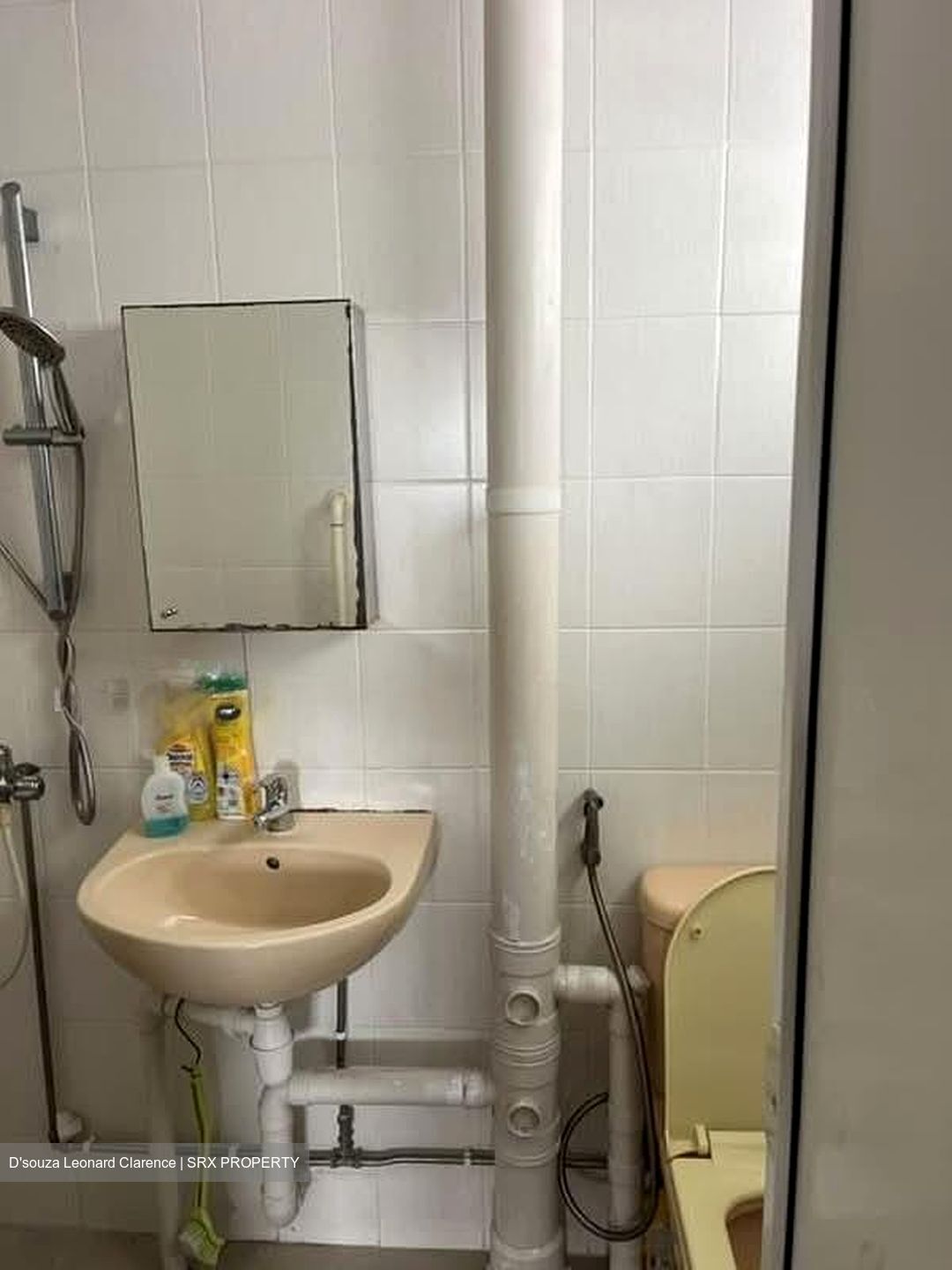 Blk 123 Paya Lebar Way (Geylang), HDB 5 Rooms #603048341